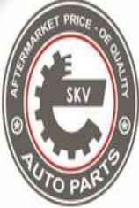 Front ESEN SKV 29SKV526 Wheel Bearing Kit for SEAT,VW