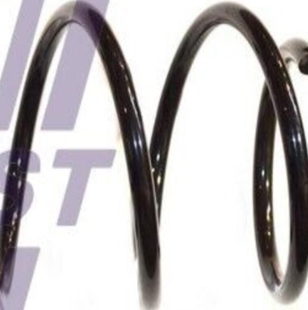 FT12252 FAST Coil Spring for FIAT