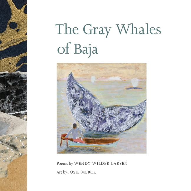 Wilder Larsen - Gray Whales of Baja - New paperback or softback - X555z