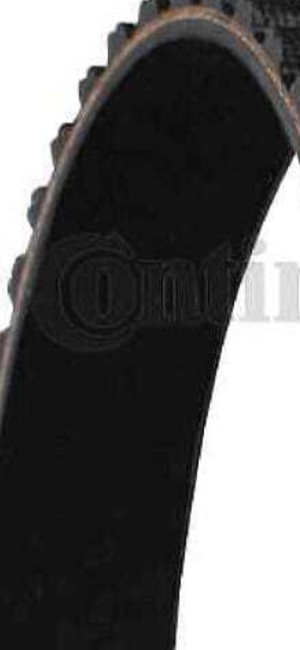 CT1076 CONTINENTAL CTAM Timing Belt for ALFA ROMEO,FIAT,LANCIA