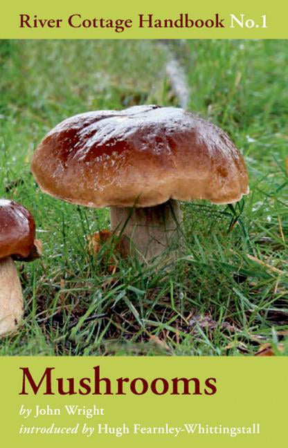 Mushrooms: River Cottage Handbook No.1 - Image 6