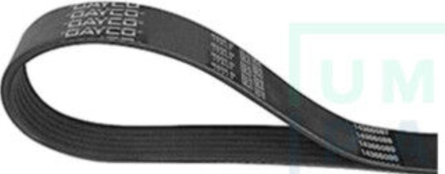 DAYCO 6PK1076 V-Ribbed Belt for AUDI,CITROËN,FIAT,HONDA,LANCIA,MITSUBISHI,NISSAN