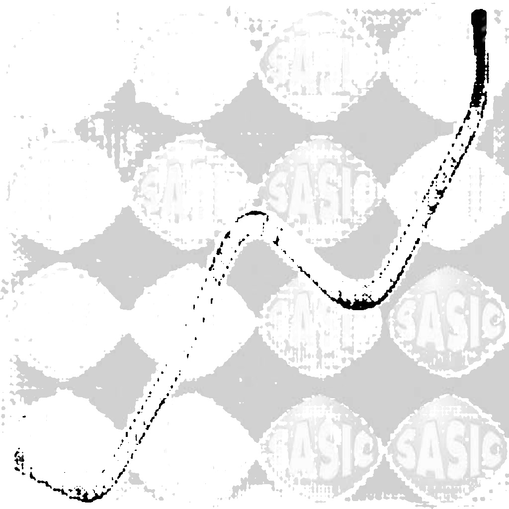 SASIC 3400087 Radiator Hose for CITROËN,FIAT,PEUGEOT