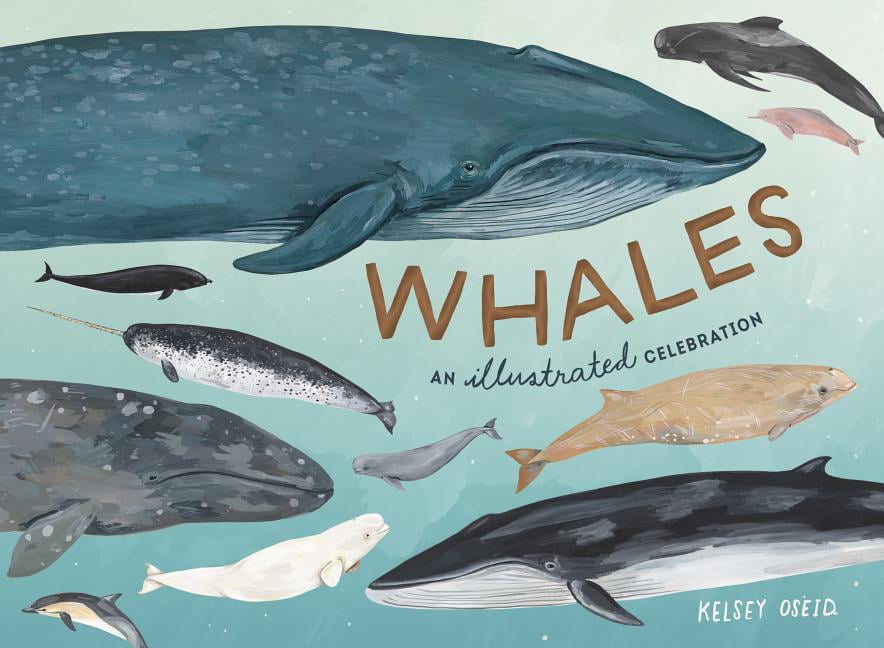 Whales An Illustrated Celebration by Kelsey Oseid (Hardback Book)