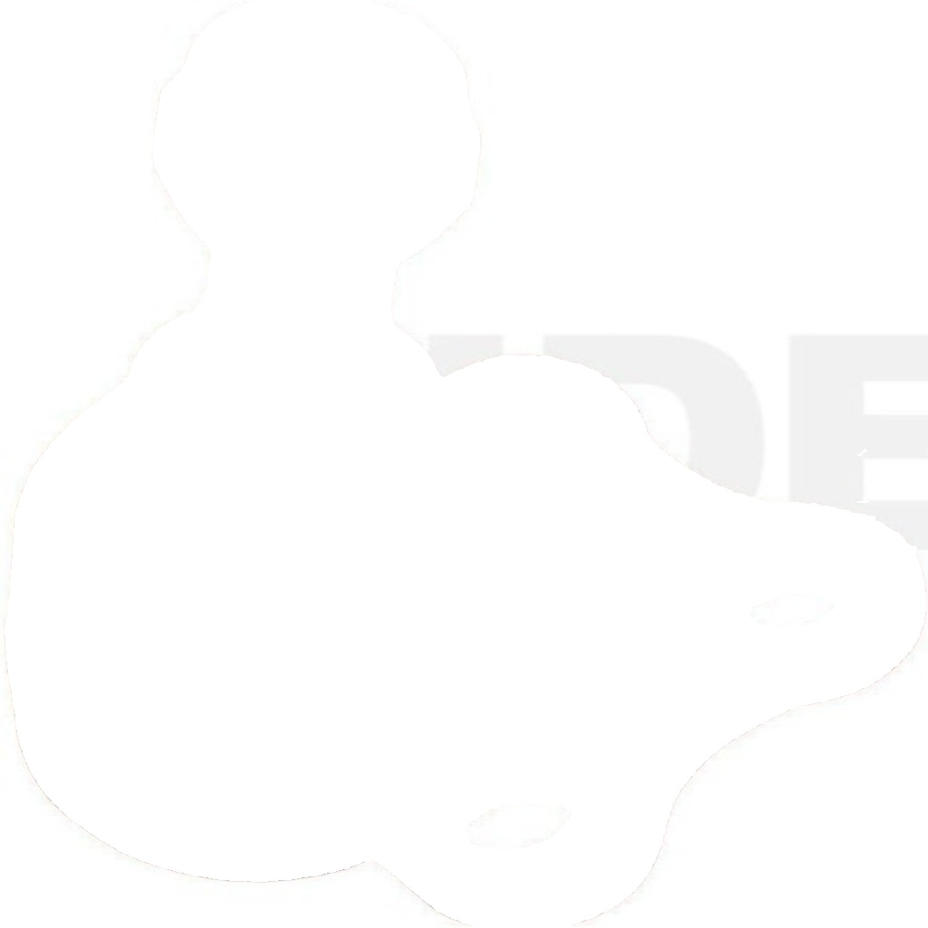 6281 SIDEM Ball Joint for FIAT,NISSAN,OPEL,RENAULT,VAUXHALL