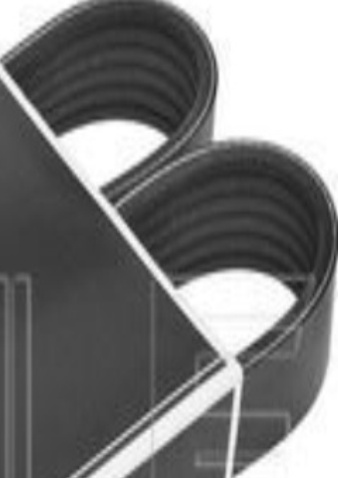 MEYLE GERMANY 050 006 1025 V-Ribbed Belt for AUDI,SEAT,SKODA,VW