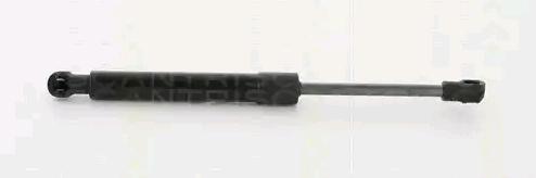 Gasfeder Koffer-/Laderaum Hub 78 mm 350 N TRISCAN passend für VW GOLF - Bild 5