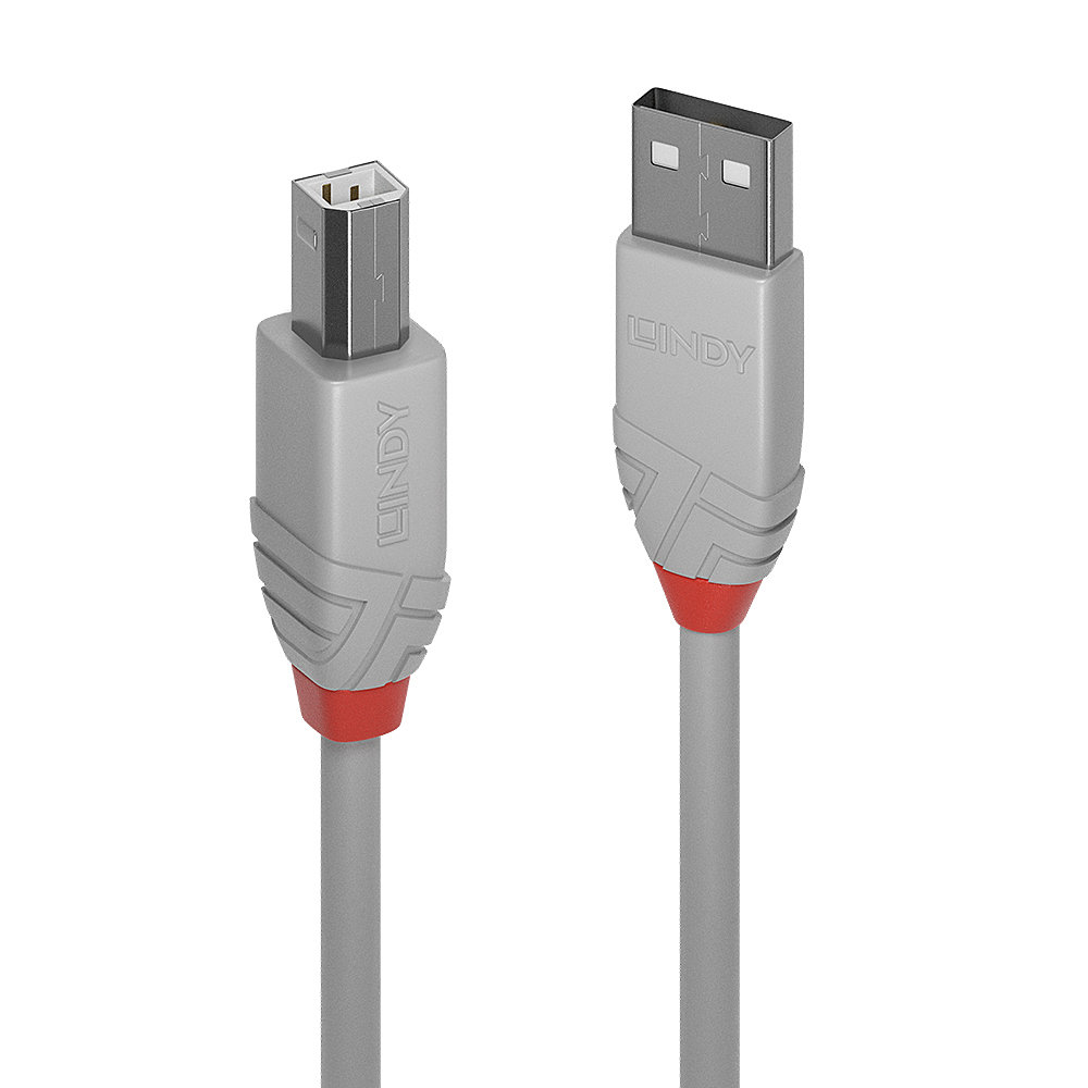 Lindy - Anthra Line - Câble USB 2.0 - USB-A vers USB-B - 2m - Gris - Image 3