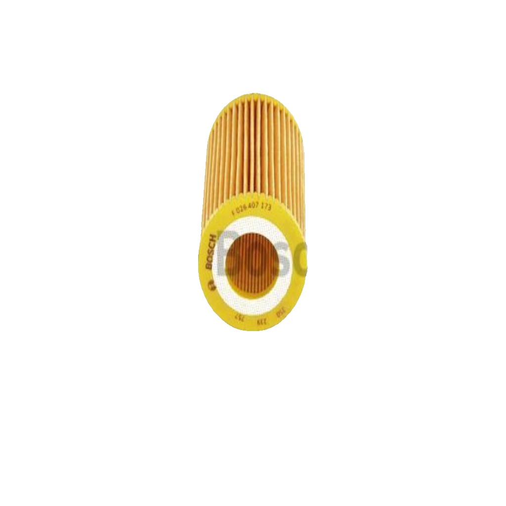 BOSCH F 026 407 173 Oil Filter for BMW