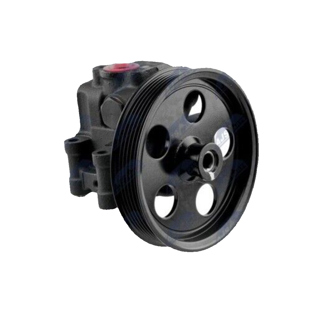 Power steering pump hydraulic without multi-belt pulley SPW-FR-013 NTY for FORD