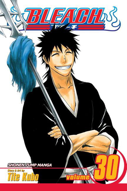 Bleach, Vol. 30 Volume 30