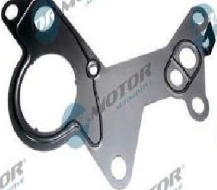 Dr.Motor Automotive DRM0461 Gasket, vacuum pump for AUDI,FORD,SEAT,SKODA,VW