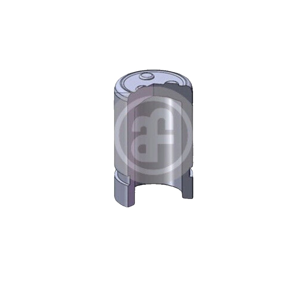 Brake caliper piston Rear Axle Steel D025664 AUTOFREN SEINSA for MAZDA NISSAN