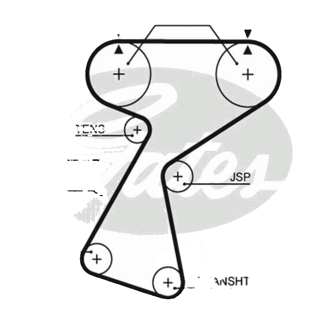 GATES 5244XS Timing Belt for RENAULT - Image 5
