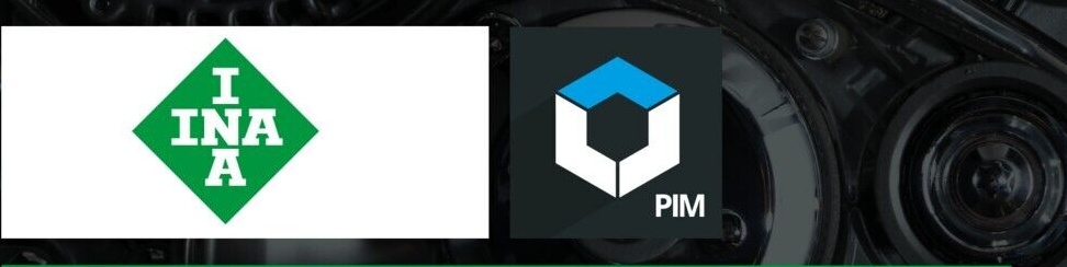 Original INA Tensioner Ribbed Belt 531 0782 10 for BMW