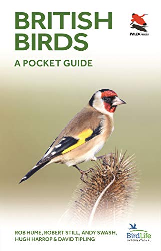 British and Irish Birds: A Pocket Guide: 30 (WILDGuides) - Image 7