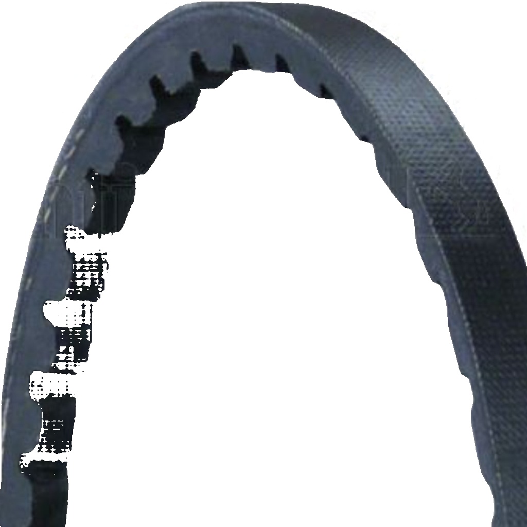 Original Continental CTAM V-Belt AVX10X925 for Alfa Romeo Alpine Citroën