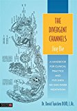 The Divergent Channels - Jing Bie by David Twicken - 9781848191891