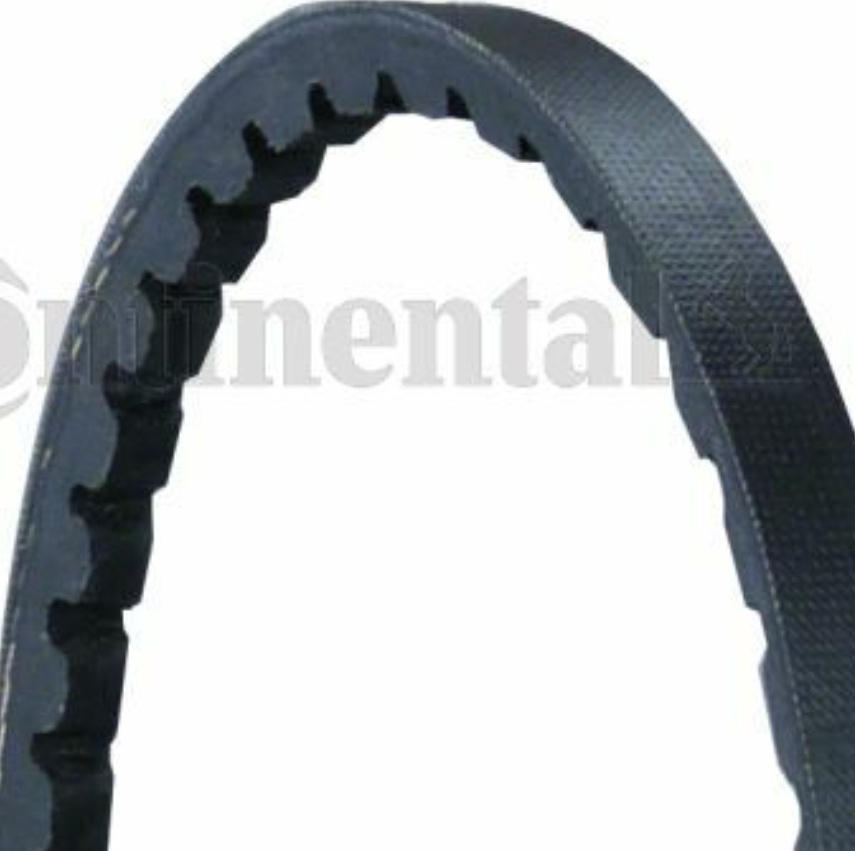 Original CONTINENTAL CTAM V-Belt AVX10X1475
