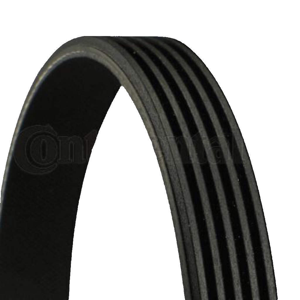 Original Continental CTAM V-Ribbed Belt 5PK1538