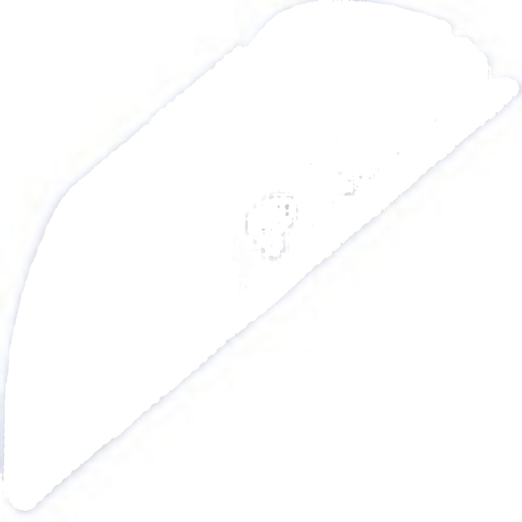 NTY OE ECP-PL-008 Sensor, crankshaft pulse for OPEL,VAUXHALL