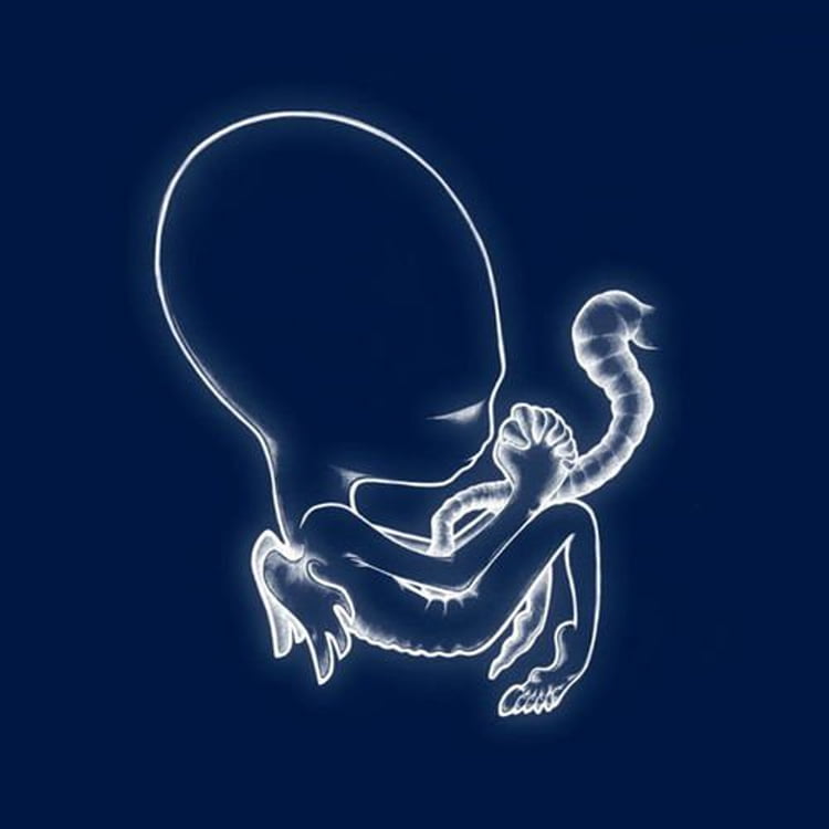 Sigur Ros Aga¦tis Byrjun Double LP Vinyl NEW
