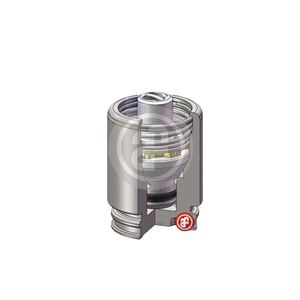 Rear AUTOFREN SEINSA D025251K Piston, brake caliper for ,CADILLAC,CITROËN,FORD,I