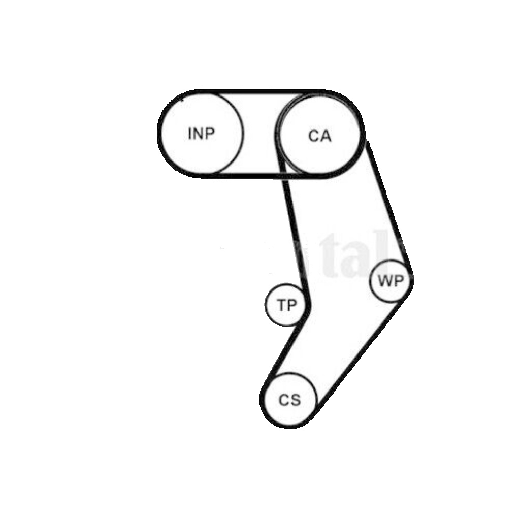 CT939WP10PRO CONTINENTAL CTAM Water Pump & Timing Belt Set for VW