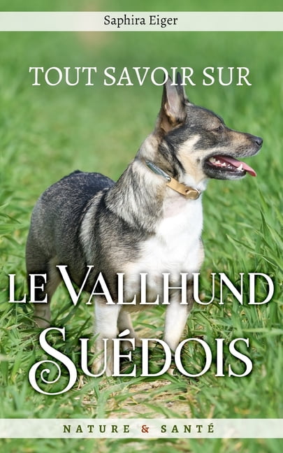 Tout Savoir sur le Vallhund Suédois by Saphira Eiger PAPERBACK (FRENCH)