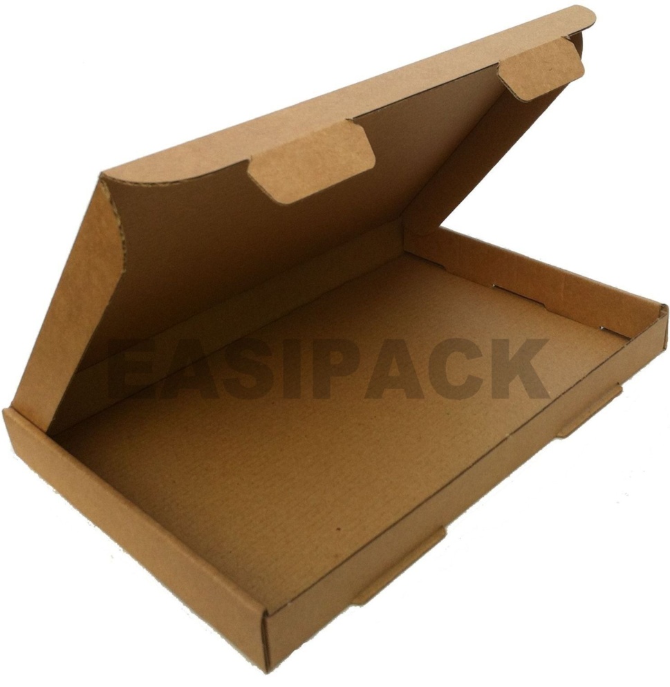 1000 x Cardboard Postal Mail Boxes PIP (Large Letter) 218x159x20mm - C5