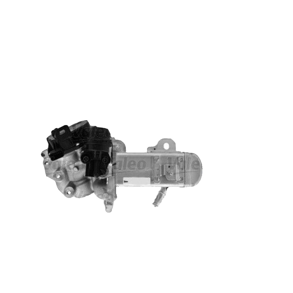 VALEO 700451 EGR Module for CITROËN,DS,FIAT,PEUGEOT,TOYOTA