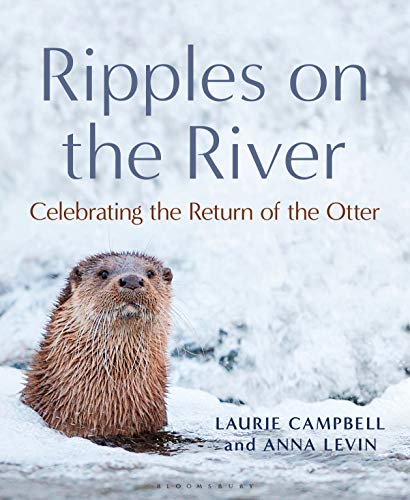 Ripples on the River