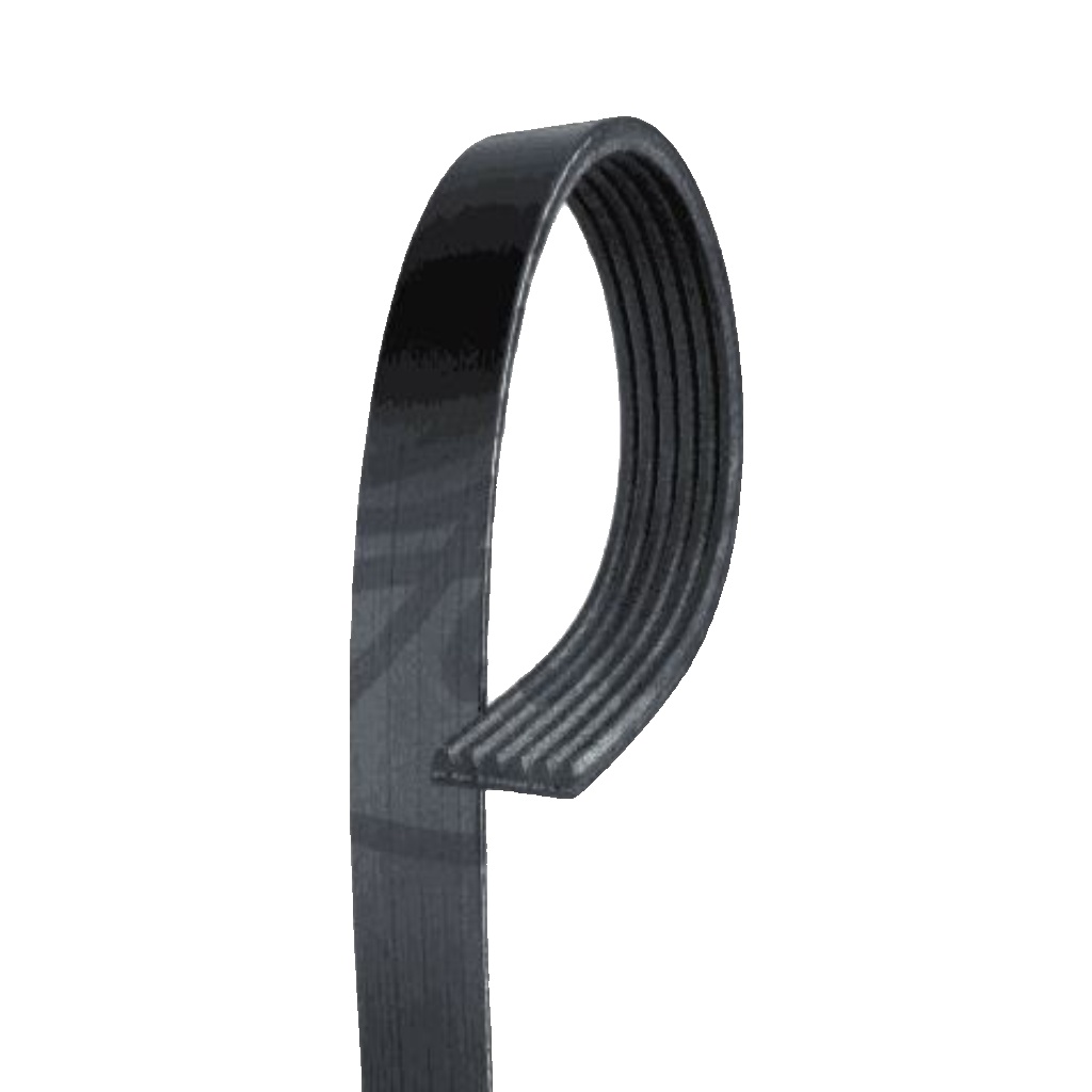 GATES 6PK1030SF V-Ribbed Belt for FORD,FORD AUSTRALIA