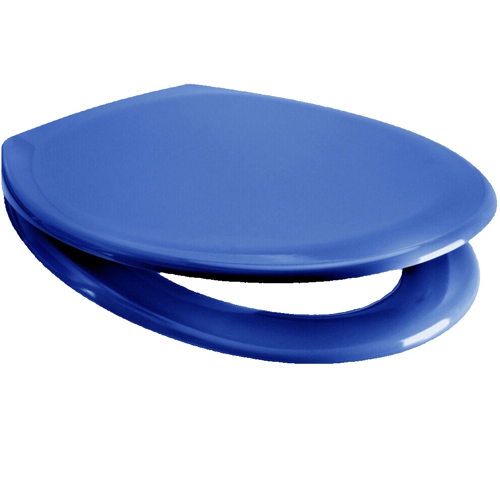 BLUE Soft Close Toilet Seat Anti Bacterial, Quick Release, Top/Bottom Fix