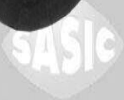 Fits SASIC 3406011 RADIATOR HOSE   ⭐UK Stock⭐