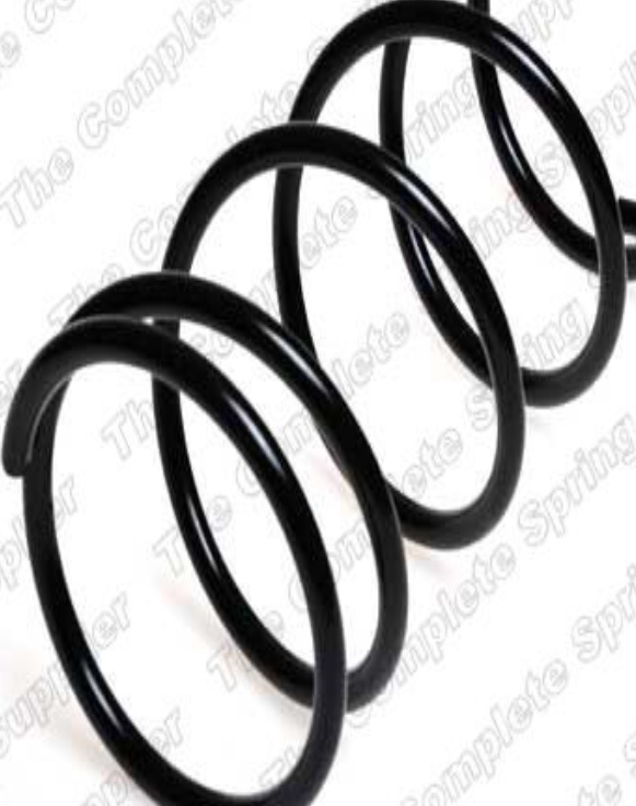 Rear LESJÖFORS 4262021 Suspension Spring for NISSAN - Image 4