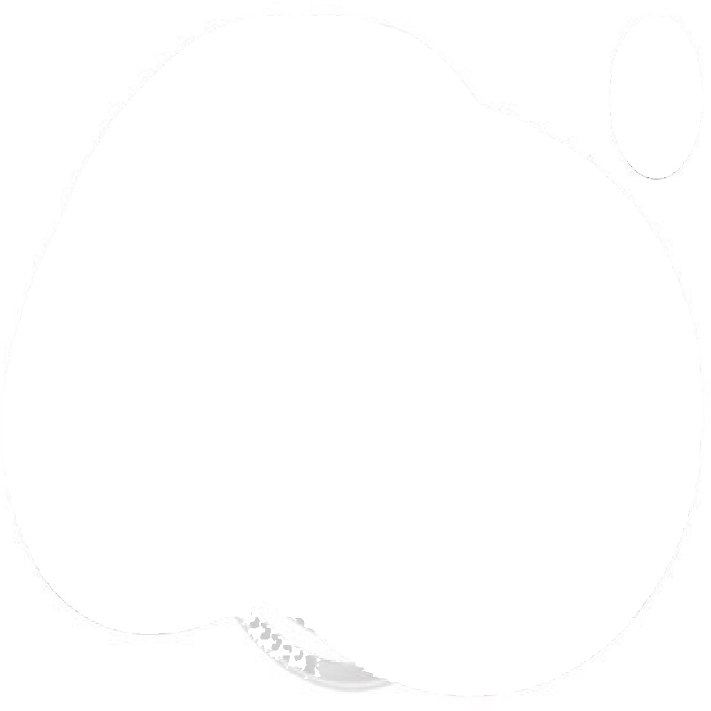 2x Original A.B.S. Brake Disc 17820 for Jeep