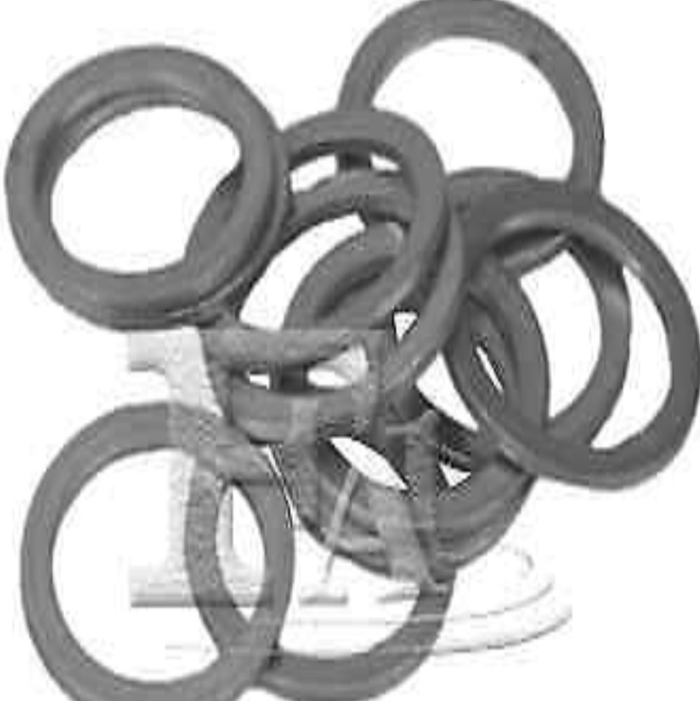 FA1 598.870.010 Seal Ring for BREDAMENARINIBUS,FAP,MERCEDES-BENZ,OPTARE,PLAXTON,
