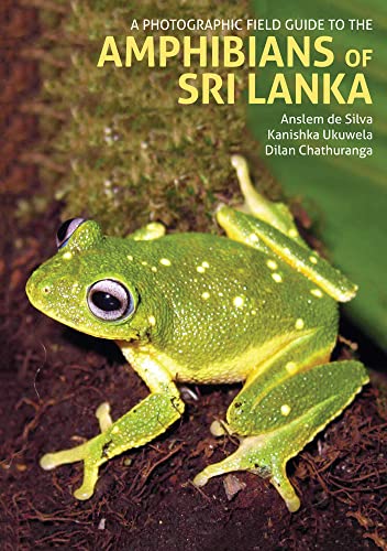A Photographic Field Guide to the Amphibians of Sri Lanka by ... - 9781913679118