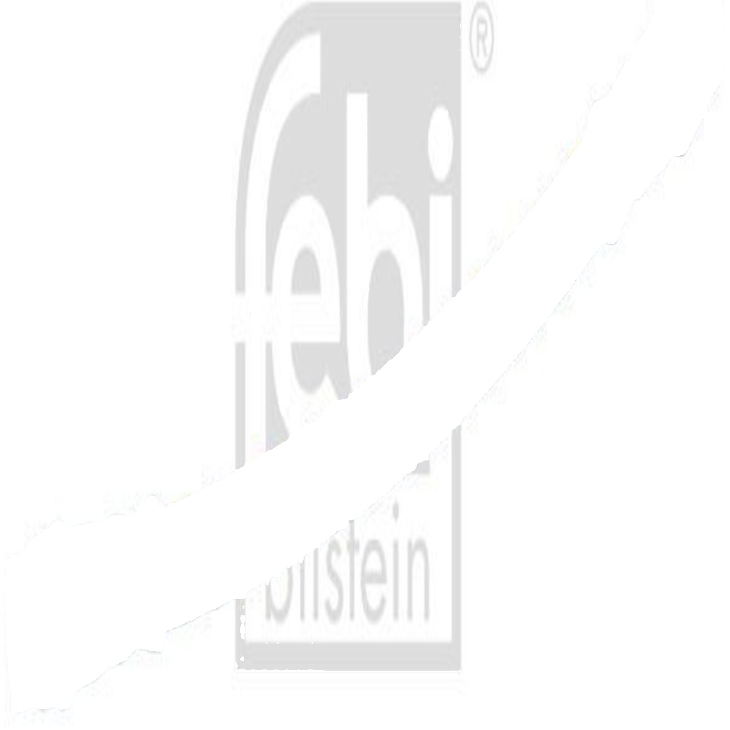 Rear left and right FERDINAND BILSTEIN 45299 Brake Hose for ,RENAULT