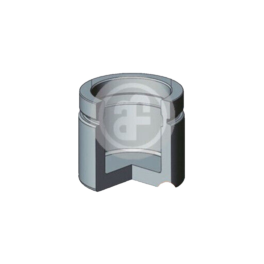 Brake caliper piston Front Axle Steel D025612 AUTOFREN SEINSA for BMW FORD