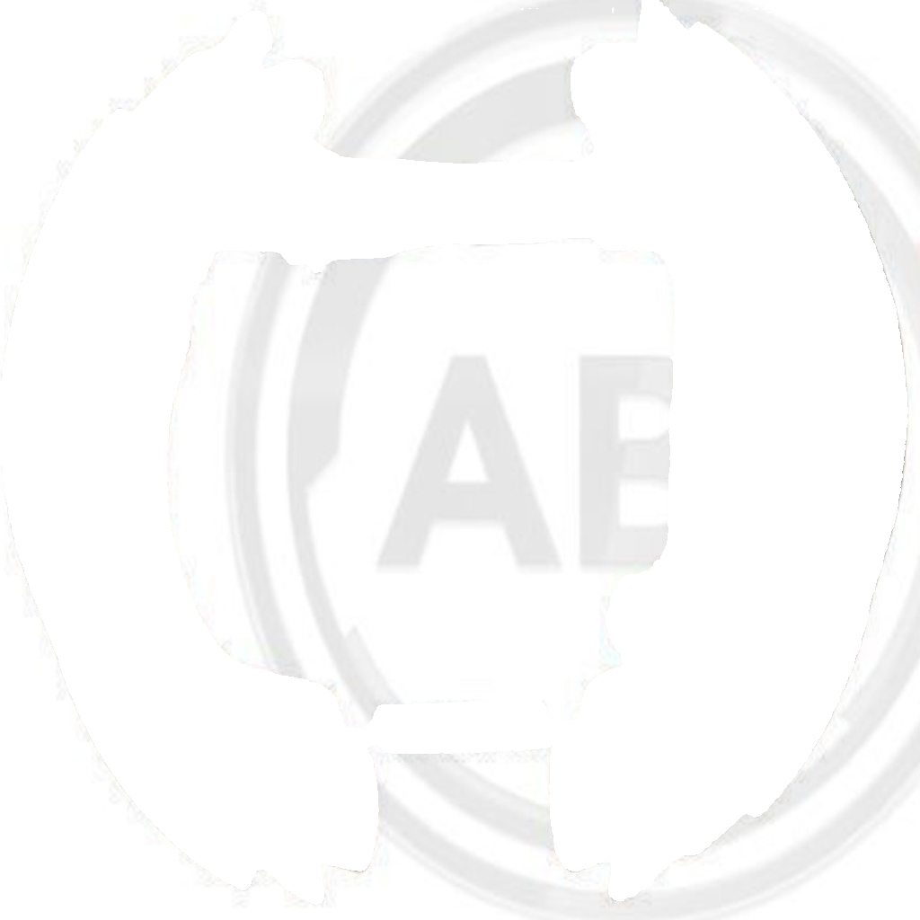 Original A.B.S. Brake Set Drum Brake 111412 for Opel Renault