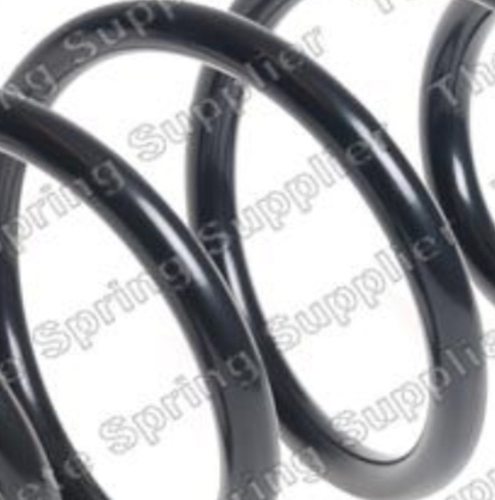 Fits LESJOFORS 4095115 COIL SPRINGS - Image 11