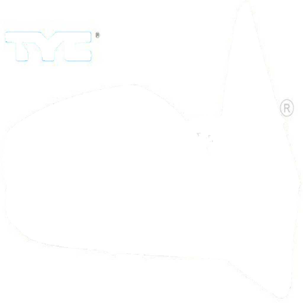 Left TYC 328-0148 Outside Mirror for RENAULT