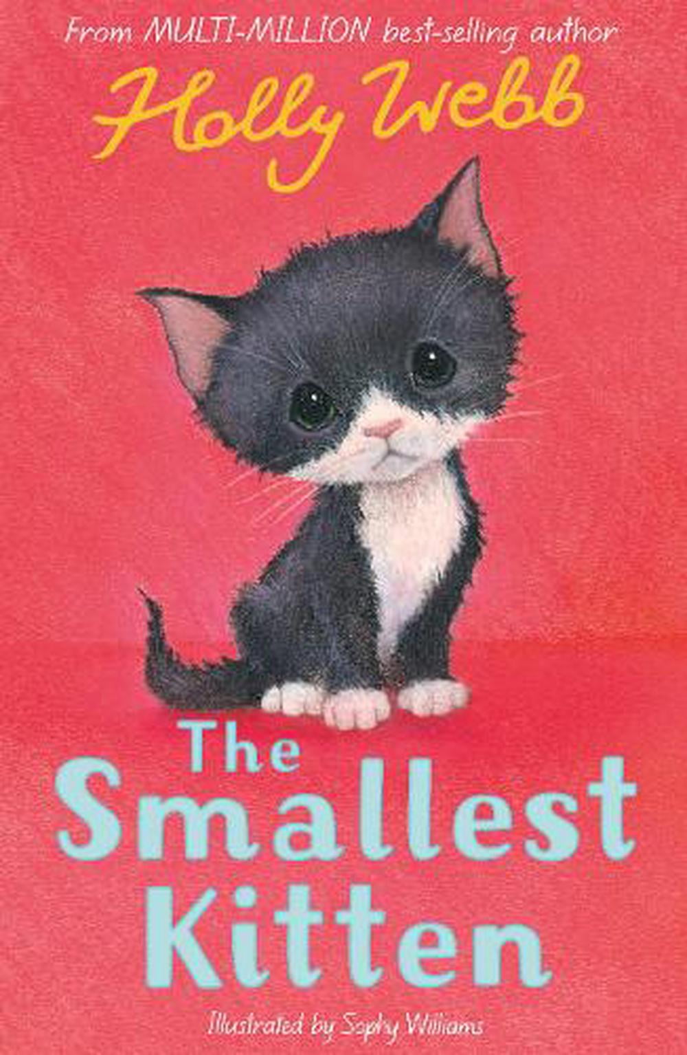 Smallest Kitten - Image 4