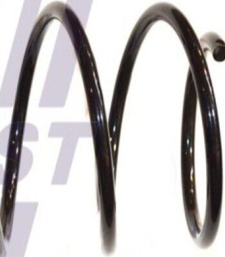 Suspension spring Rear Axle Torsion Spring FT12252K FAST for FIAT ZASTAVA