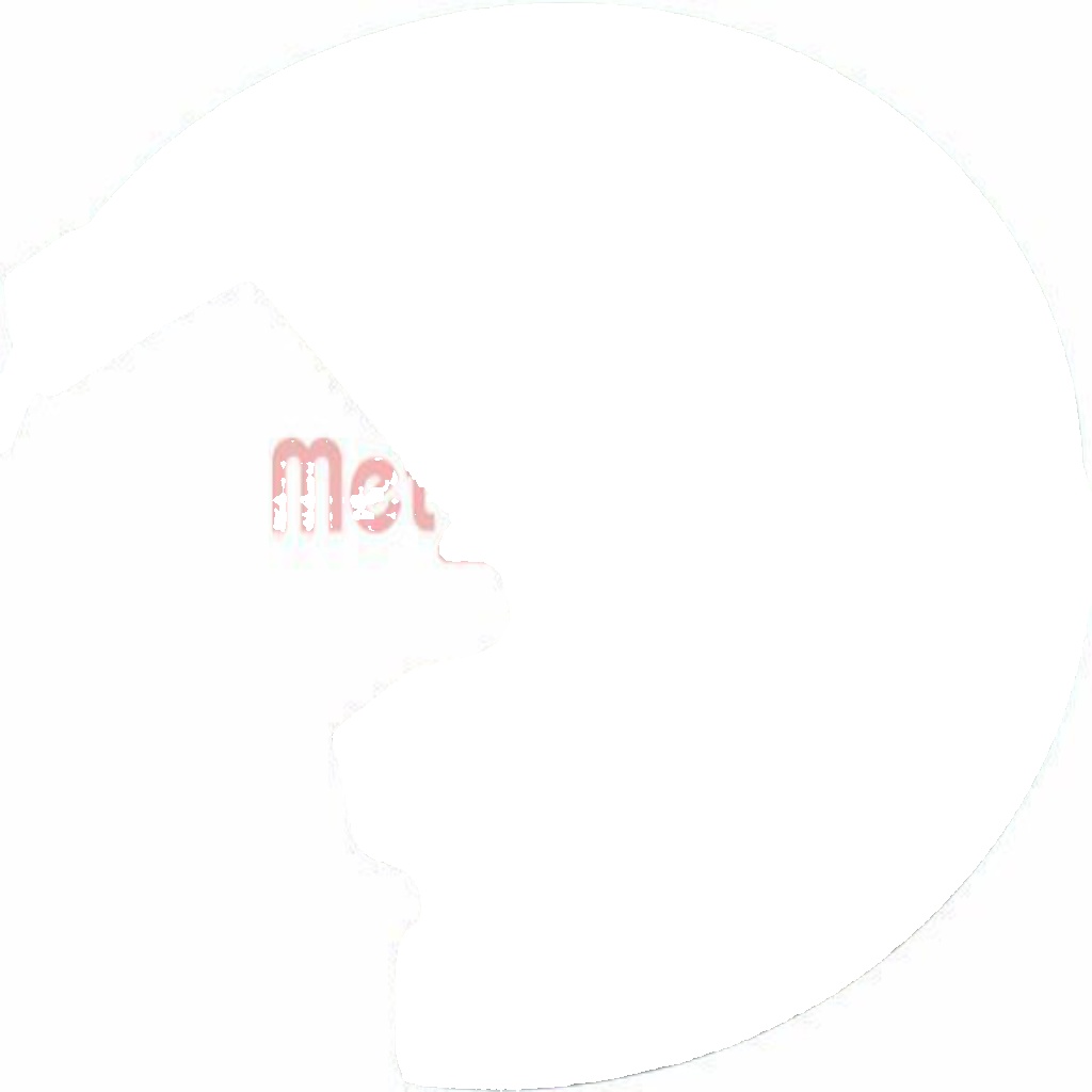 ✅Fits METZGER 6115055 SPLASH PANEL, BRAKE DISC  ⭐UK Seller⭐