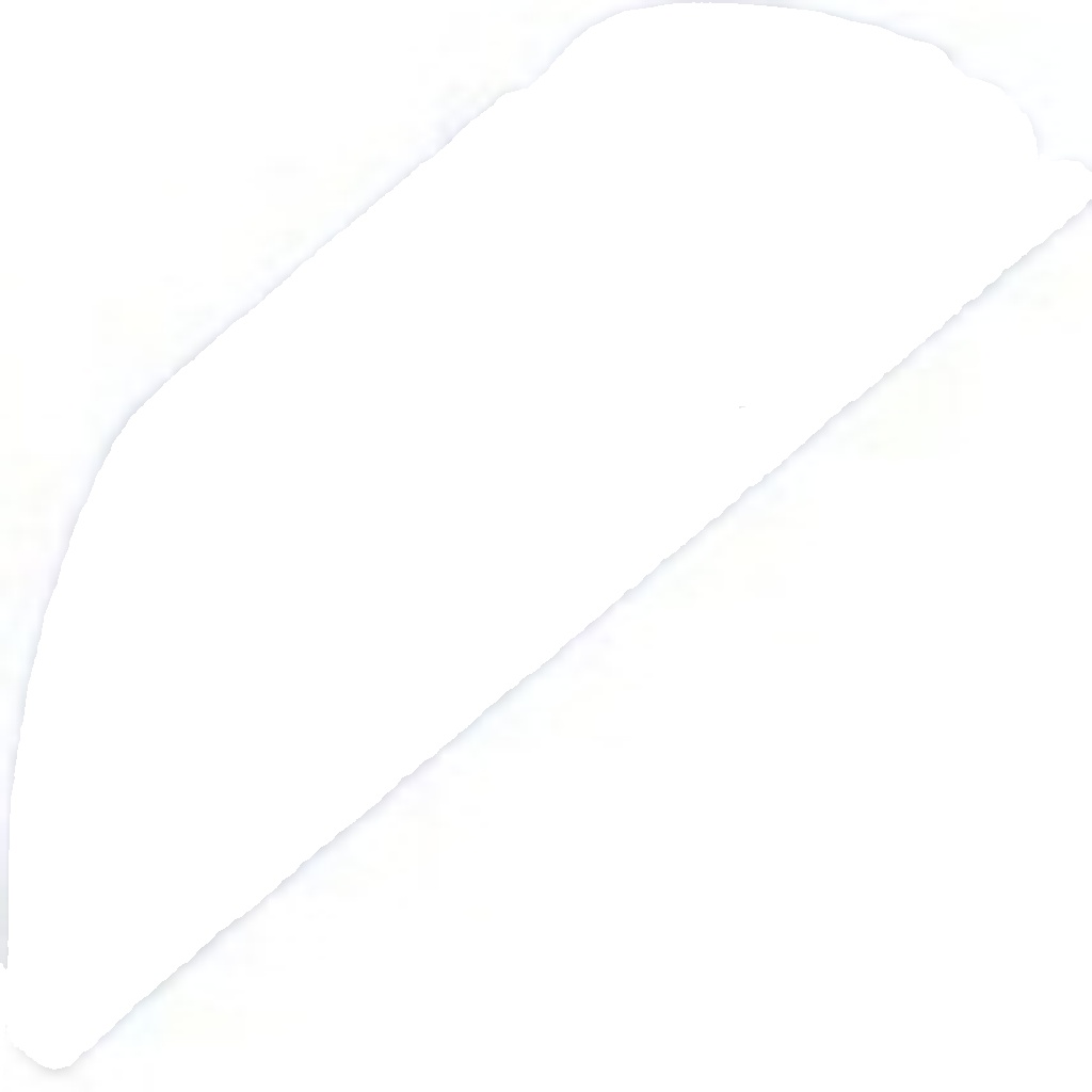 ZWG-CH-022 NTY Track Control Arm for FORD USA