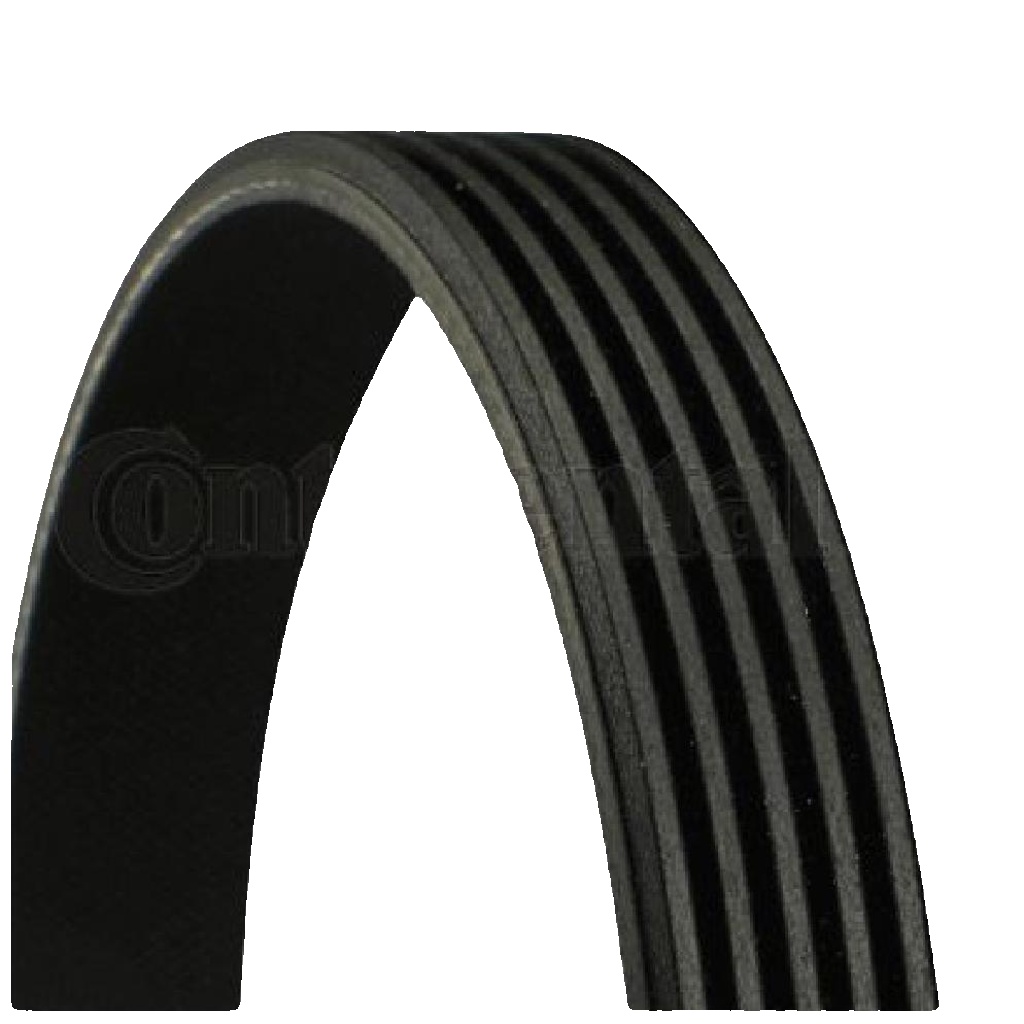 CONTINENTAL CTAM 5PK736 V-Ribbed Belt for CITROËN,LAND ROVER,LOTUS,MG,PORSCHE,RO