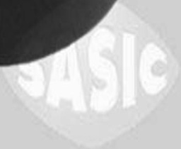 Transmission End SASIC 2704045 Engine Mounting for RENAULT